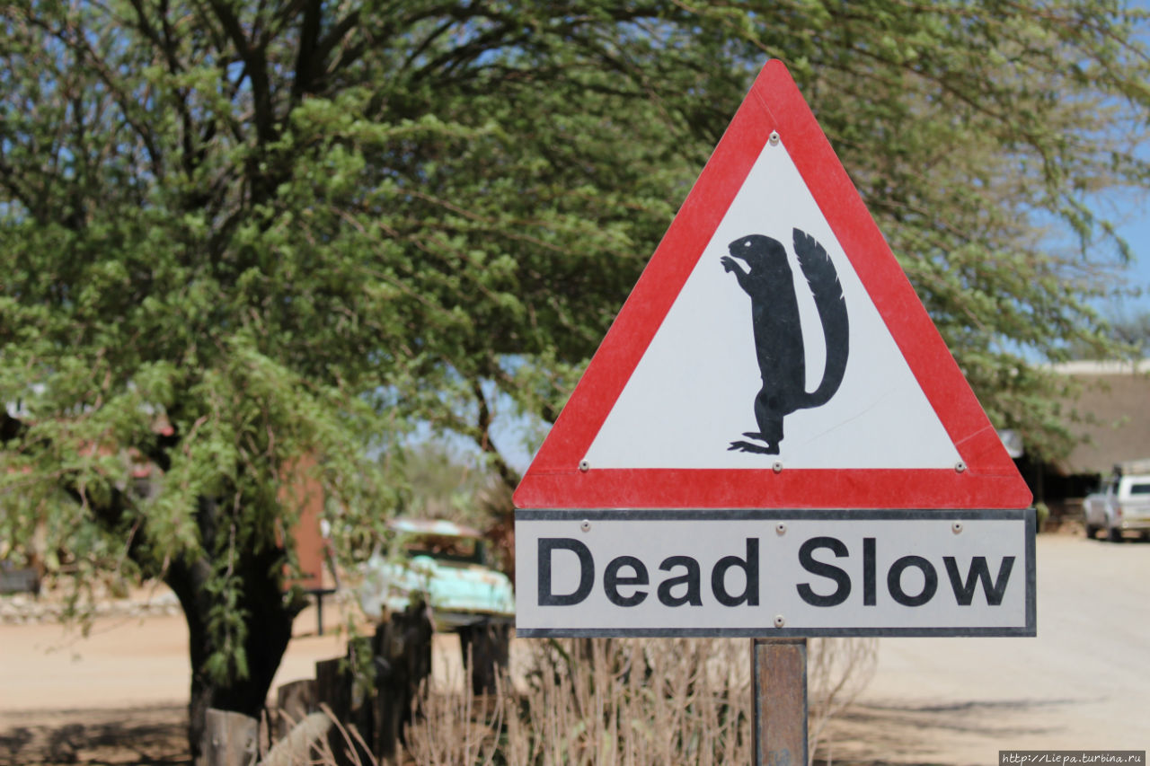 Вот такой знак, долго думать не пришлось, чтобы это значило, один из этих зверей уже рыл яму под нашими колесами. Солитейр, Намибия