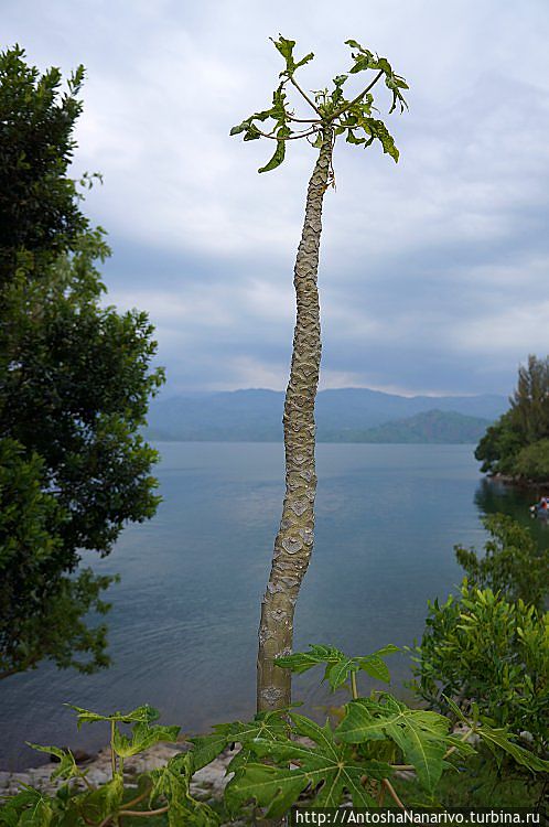 Озеро Киву Озеро Киву, Руанда