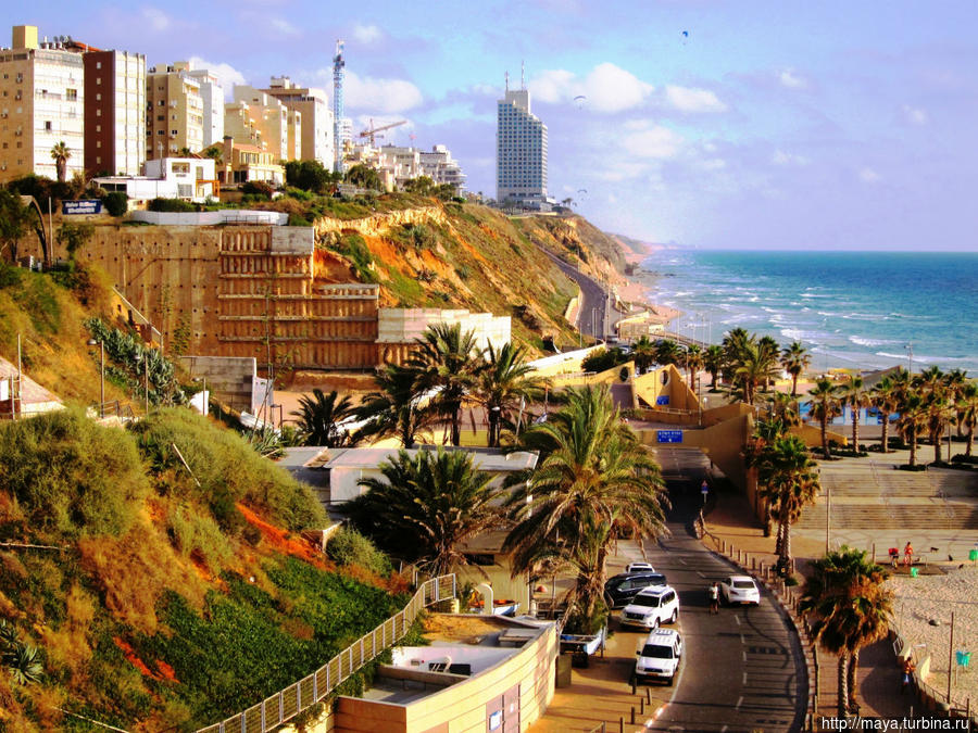 Хайфа израиль фото пляжей и набережной