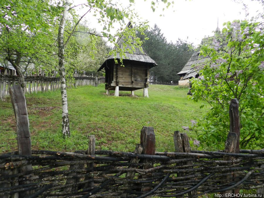 Златибор Сербия Сирогойно