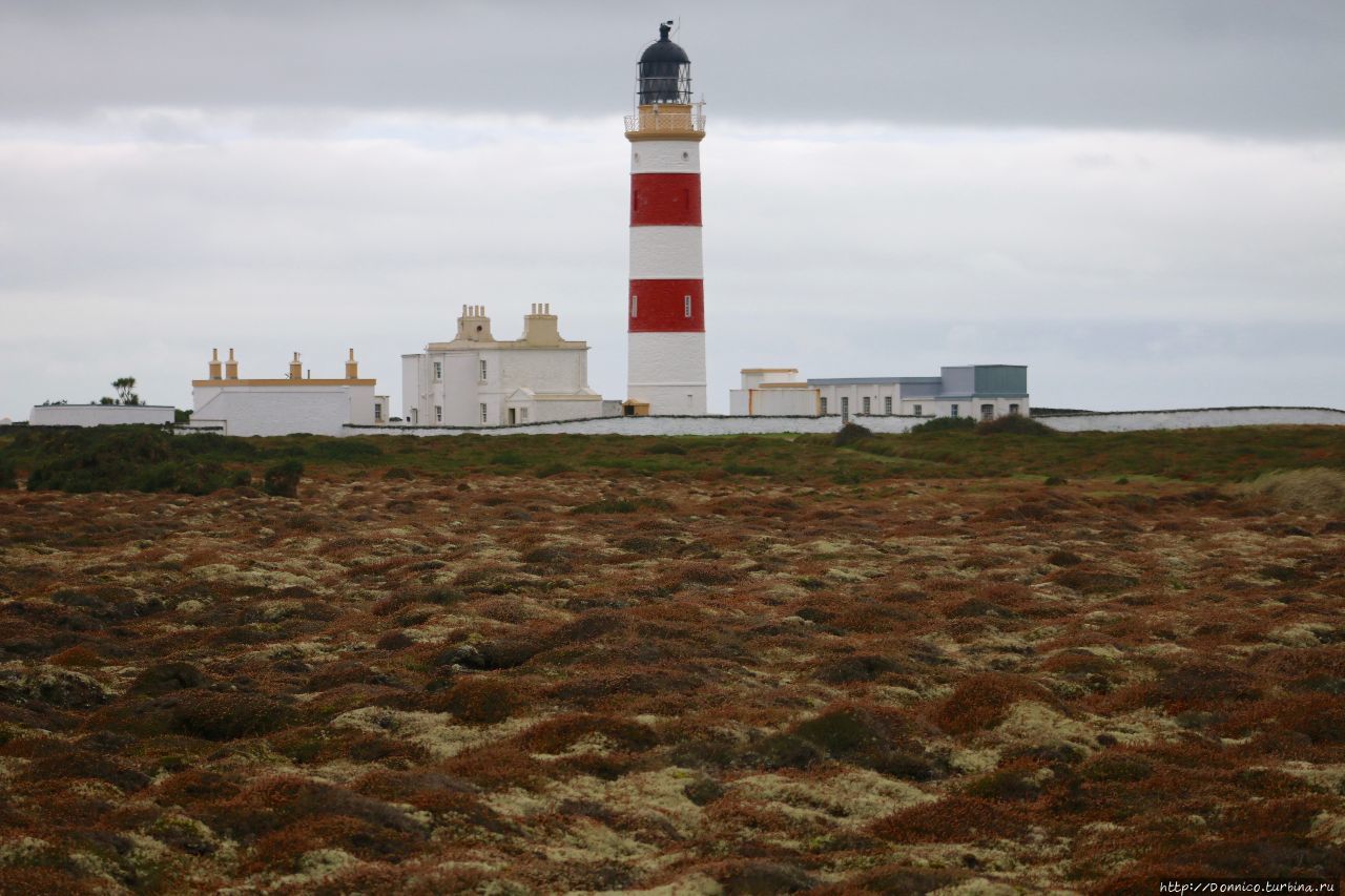 Моя цель — самая северная точка острова — маяк на Point of Ayre. Сам маяк посетить нельзя, но вокруг красивая природа. Лэкси, Остров Мэн