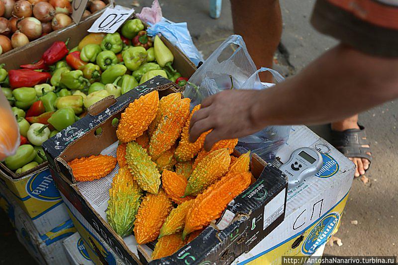 Момырдык Кишинёв, Молдова