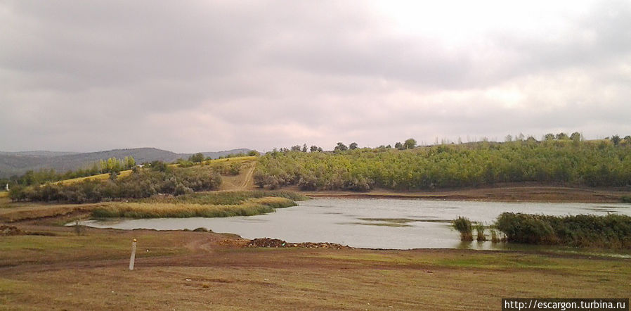 Водоемы там тоже были странные: относительно большие, но неглубокие лужи с грязной, серой водой и неизменными камышами.