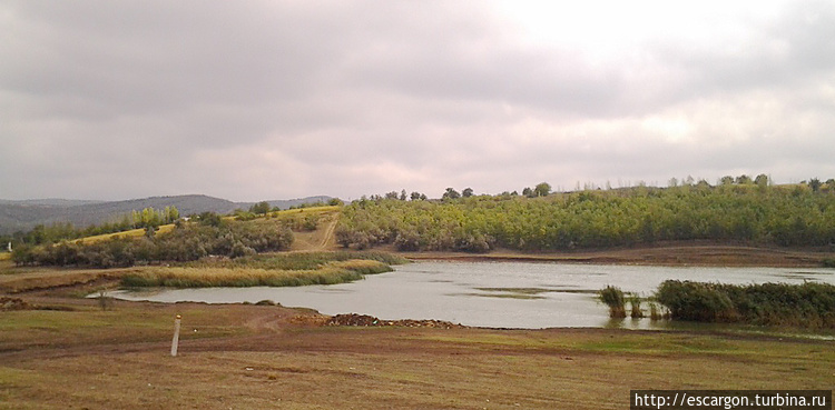 Водоемы там тоже были стр