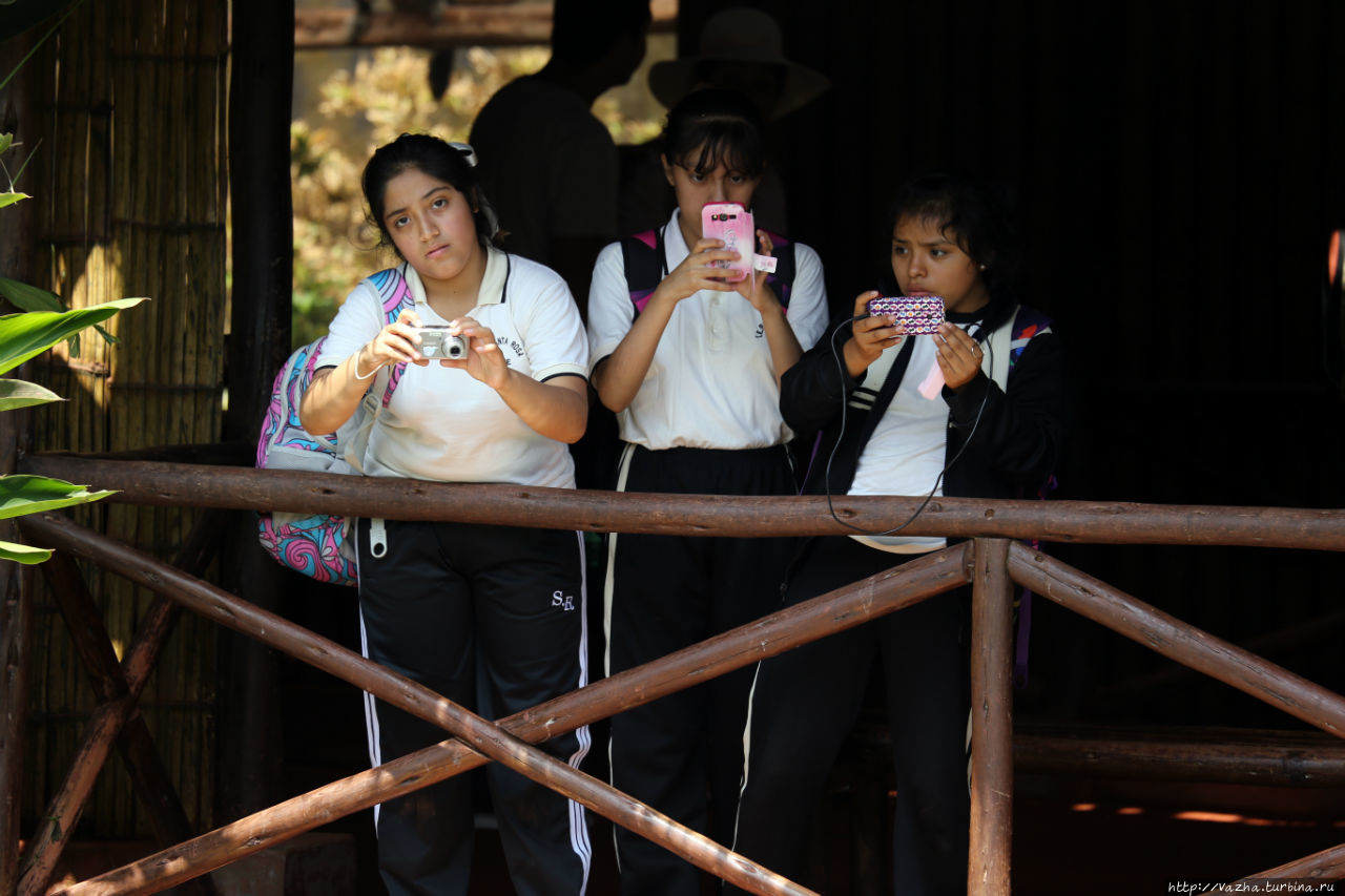 Зоопарк Лимы Лима, Перу