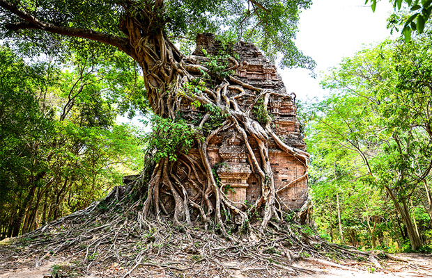 Прасат-Самбор-Прей-Кук город храмов / Prasat Sambor Prei Kuk town of temples