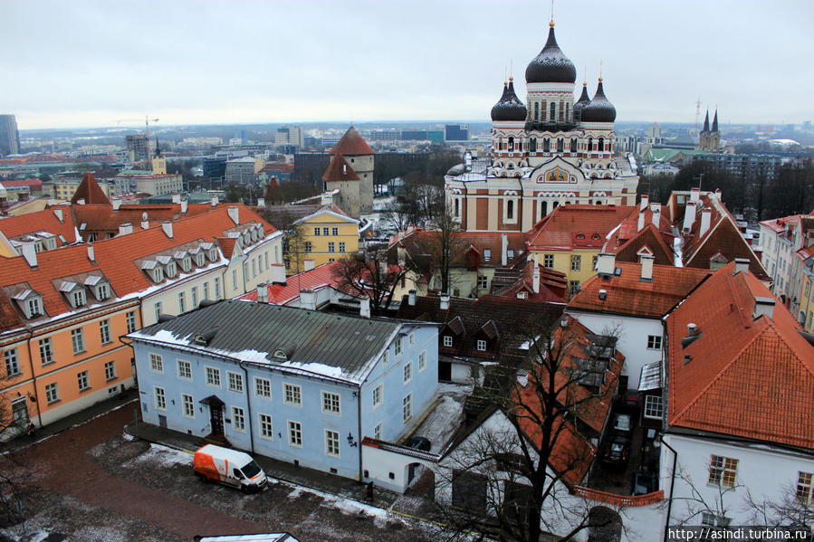 Домский собор в таллине