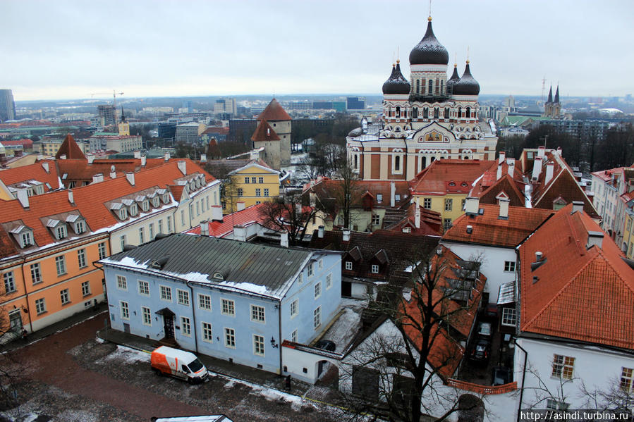 Домский собор Таллина Таллин, Эстония