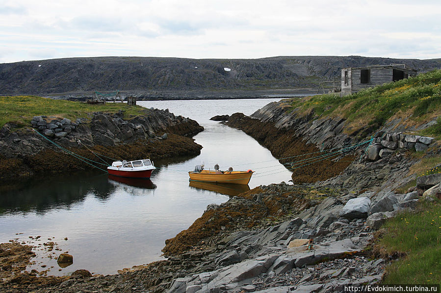 Хамнингберг.