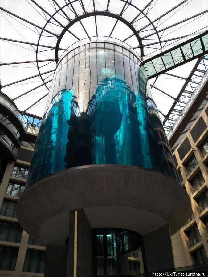 В берлинской фешенебельной гостинице Radisson SAS находится самый большой аквариум цилиндрической формы в мире. В нем находится около 900 000 литров воды и количество видов рыб, живущих в нем, насчитывает более 2600 видов! Берлин, Германия
