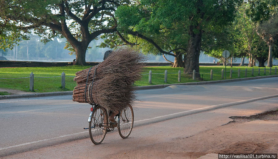 Дорога у Ангкор Вата Ангкор (столица государства кхмеров), Камбоджа