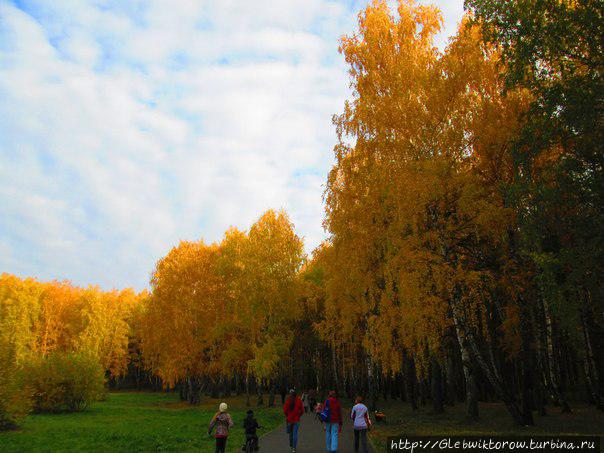 Прогулка по Гилевской роще Тюмень, Россия