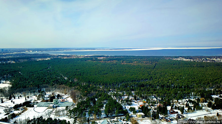 Вид с 22 этажа телебашни Таллин, Эстония