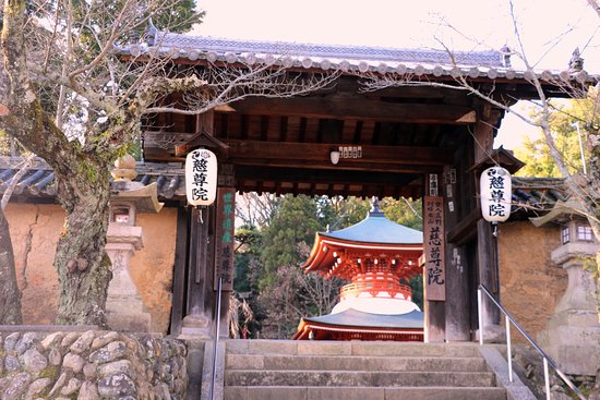 Дзисон храм / Jison-in Temple (慈尊院)
