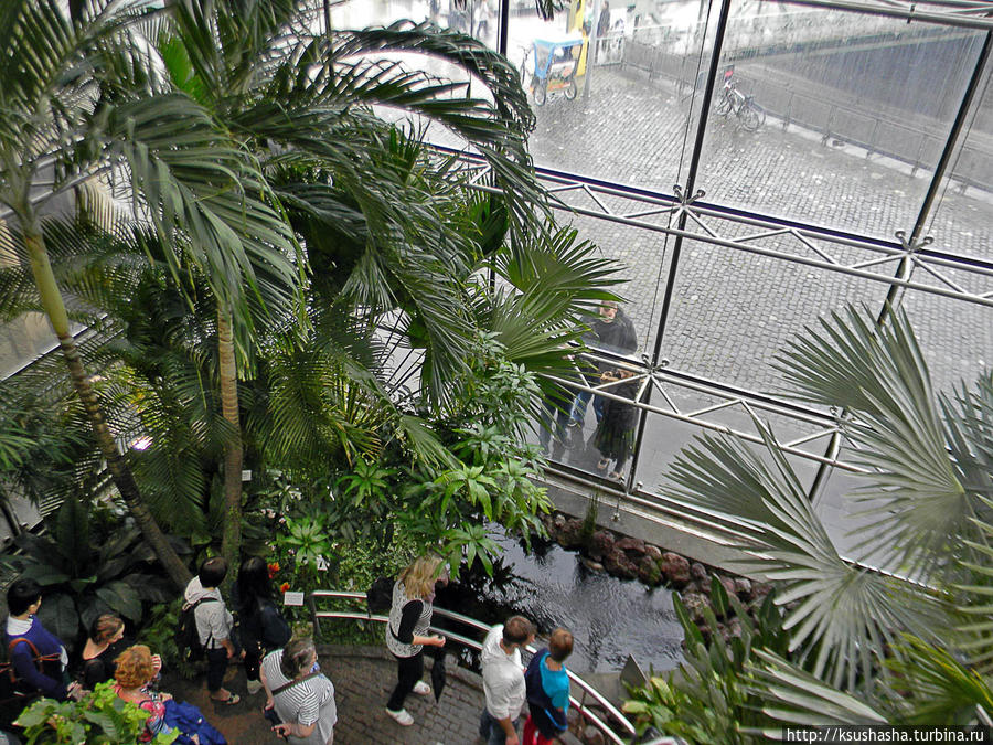 Музей Шоколада Кёльн, Германия