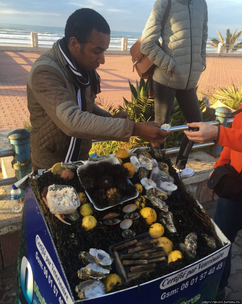 Устрицы в Касабланке — лучшее, что мне удавалось пробовать Касабланка, Марокко