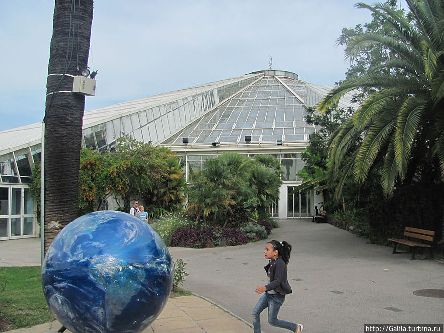 Ботанический сад.