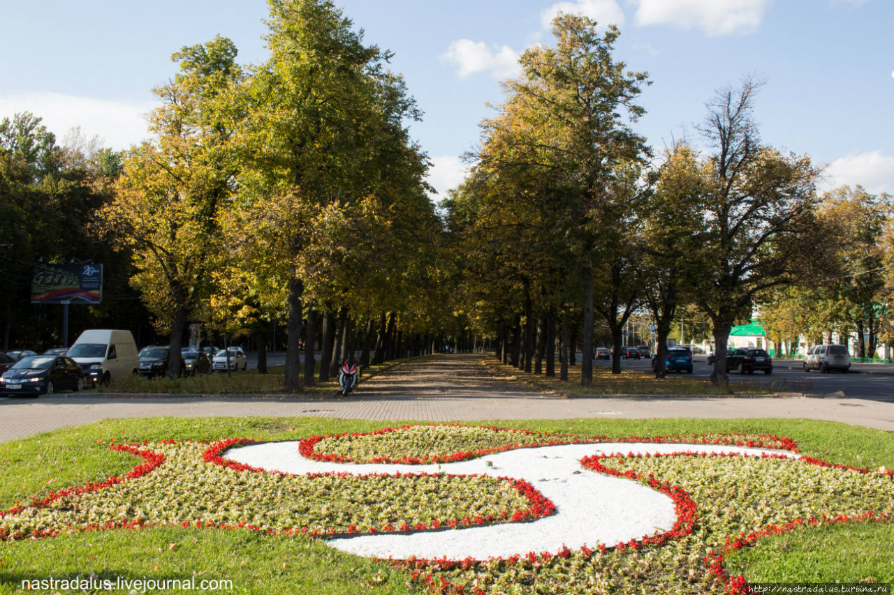 Осенние Воробьёвы горы Москва, Россия