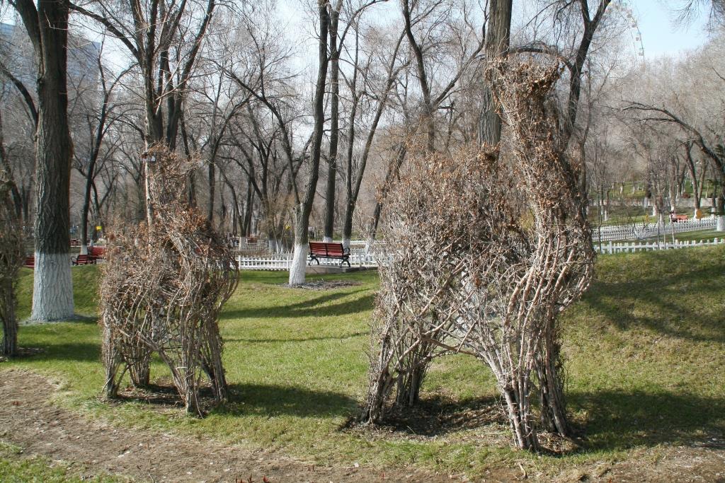 Блиц-тур в Урумчи Урумчи, Китай