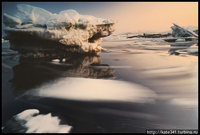 Фестиваль природной фотографии в СПБ Санкт-Петербург, Россия