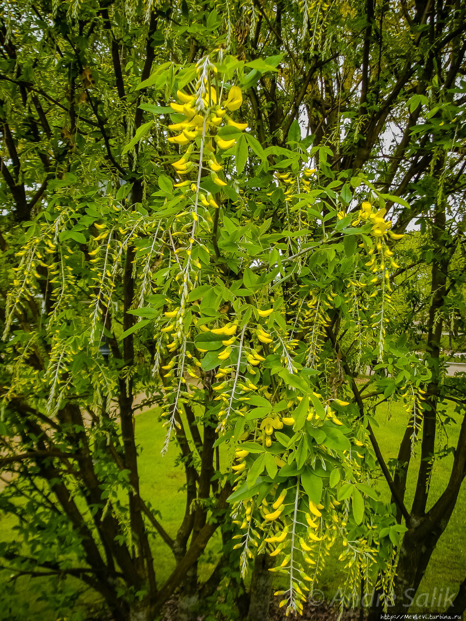 Весенние фотографии из Риги Рига, Латвия