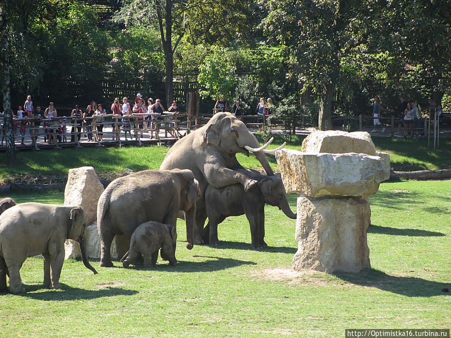 Пражский зоопарк — место, куда обязательно надо сходить Прага, Чехия