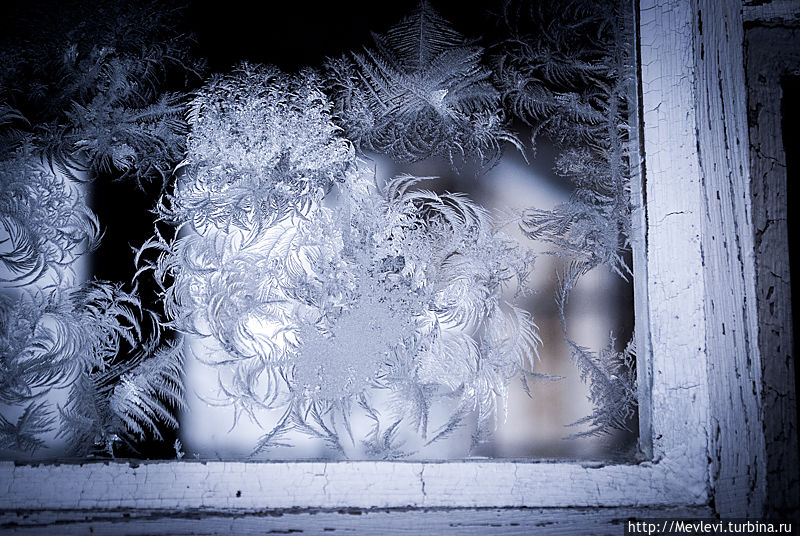 Заснеженная пасека Рига, Латвия