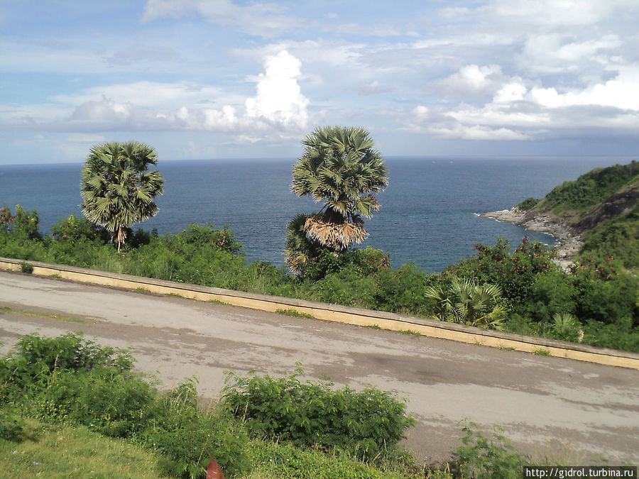 Дорога прижимается к краю полуострова, по обочине вместо березок — пальмы. Пхукет, Таиланд