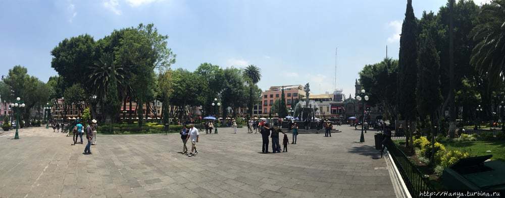 Из интернета