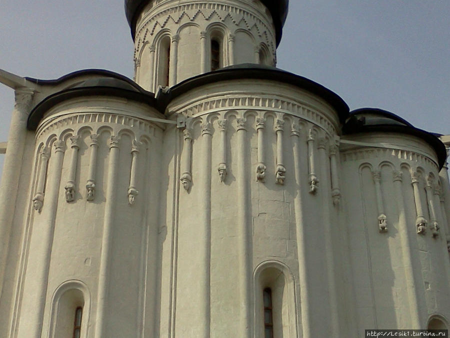 Боголюбово. Монастырь, белокаменный храм и выхухоль Боголюбово, Россия