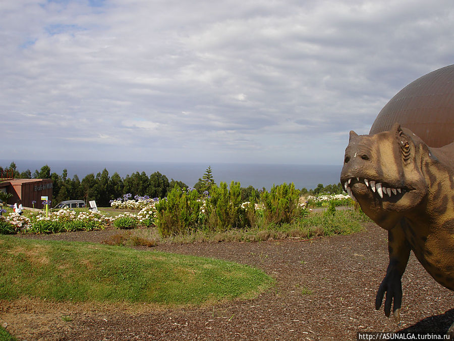 Этажи делятся на три мезозойских периода: мел, юру и триас. На первом этаже есть временный выставочный зал, приемная, комната администрации, а также библиотека и лаборатория. Зоны обслуживания включают магазин, сад, кафе и детские площадки.