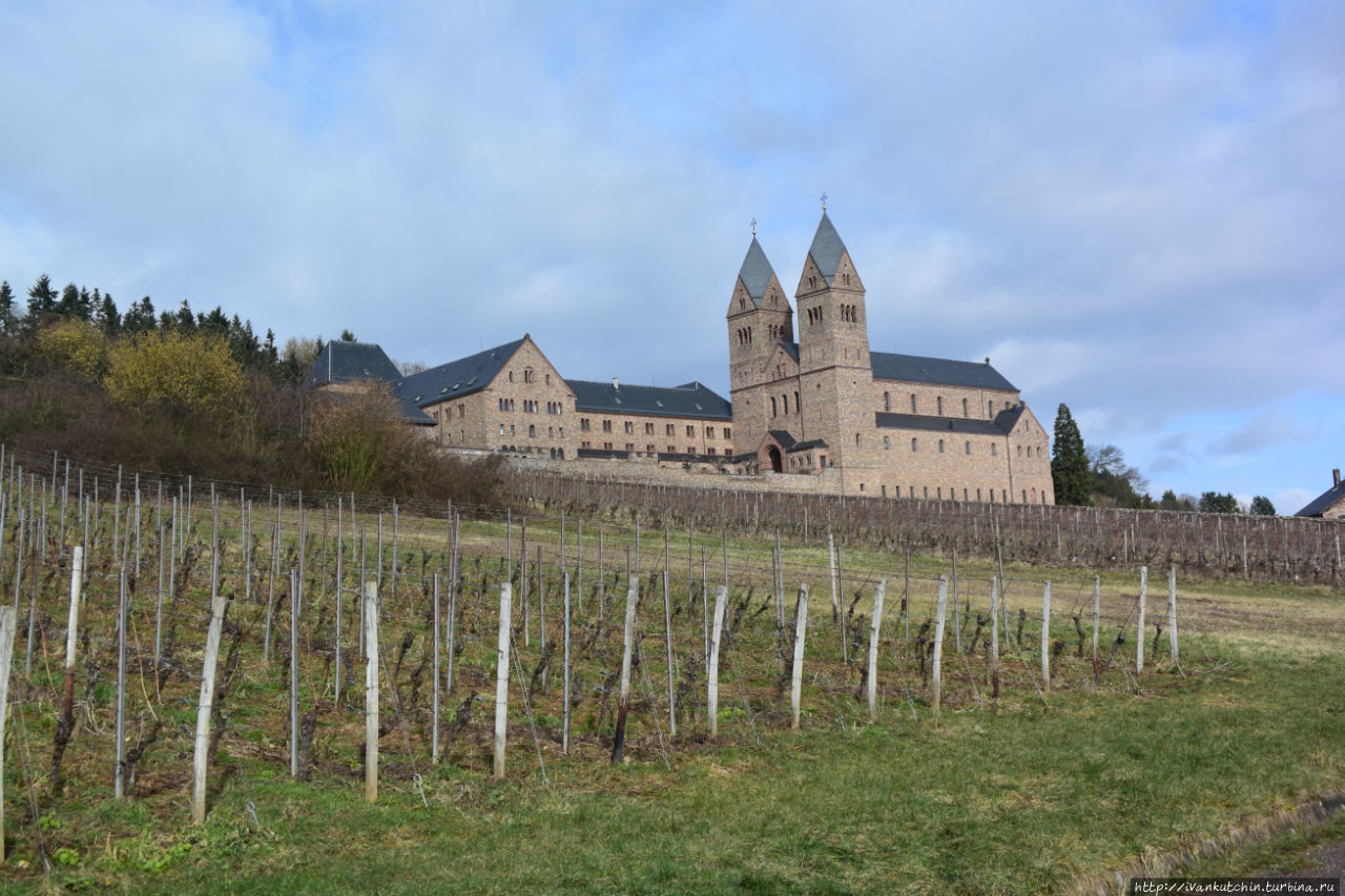 Вдоль и поперек виноградников Рюдесхайм-на-Рейне, Германия