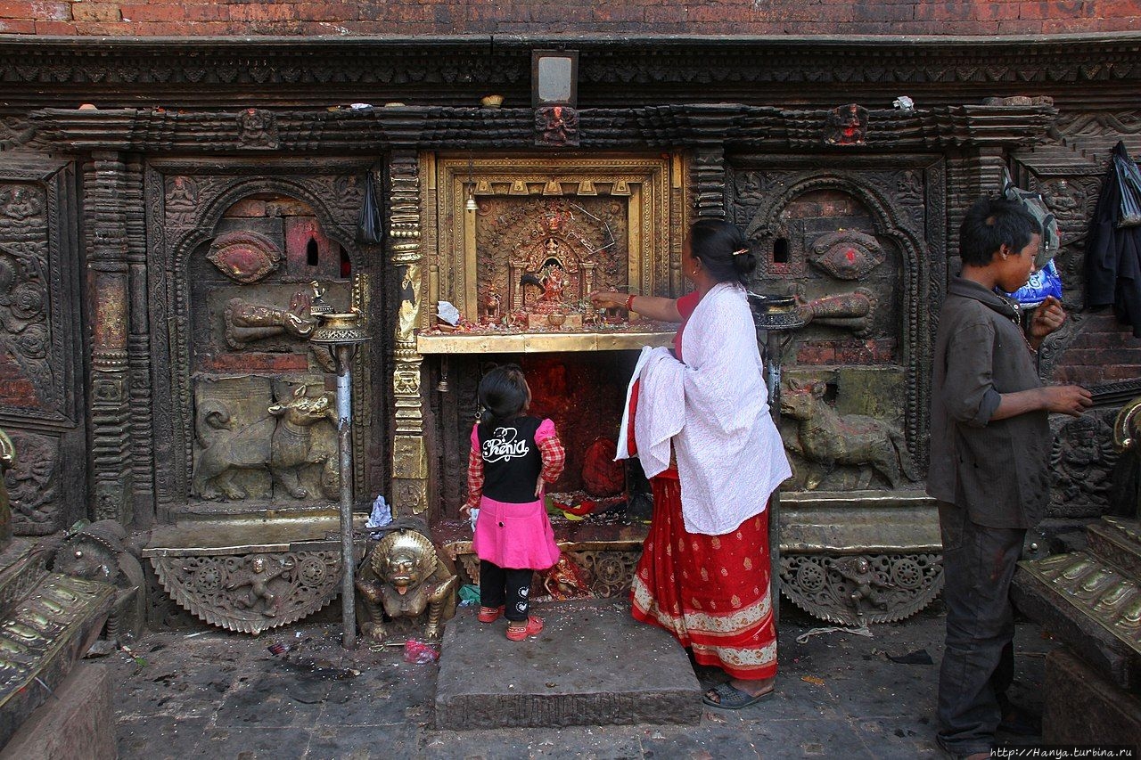 Из интернета