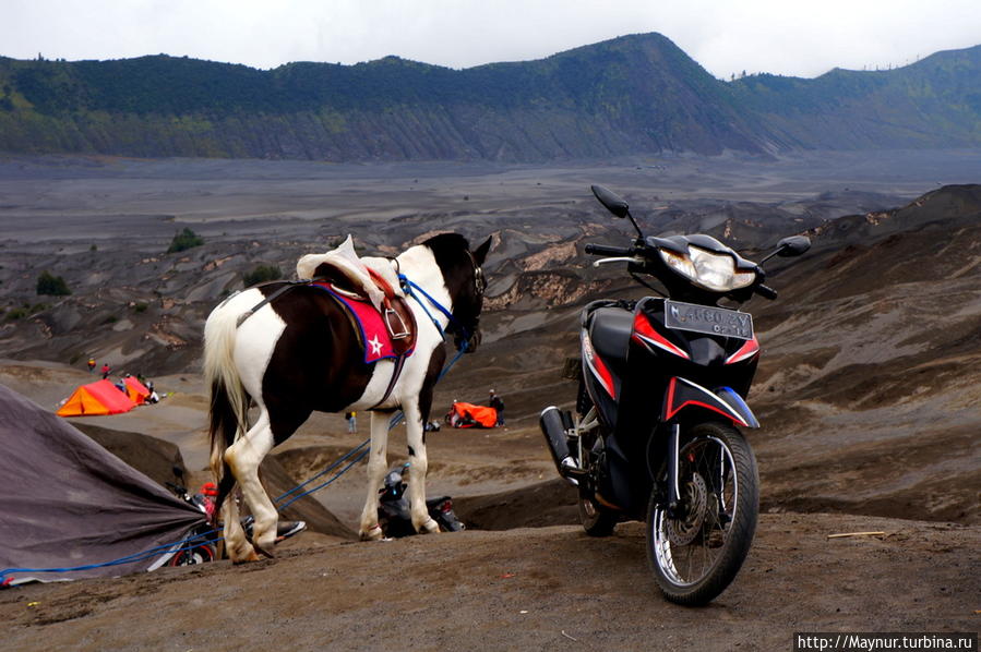 Вулкан   Бромо.  Кони.  Люди... Бромо-Тенггер-Семеру Национальный Парк, Индонезия