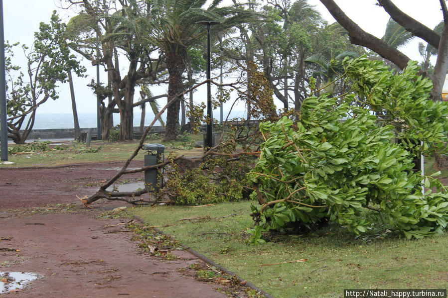 Последствия стихии Сен-Дени, Реюньон