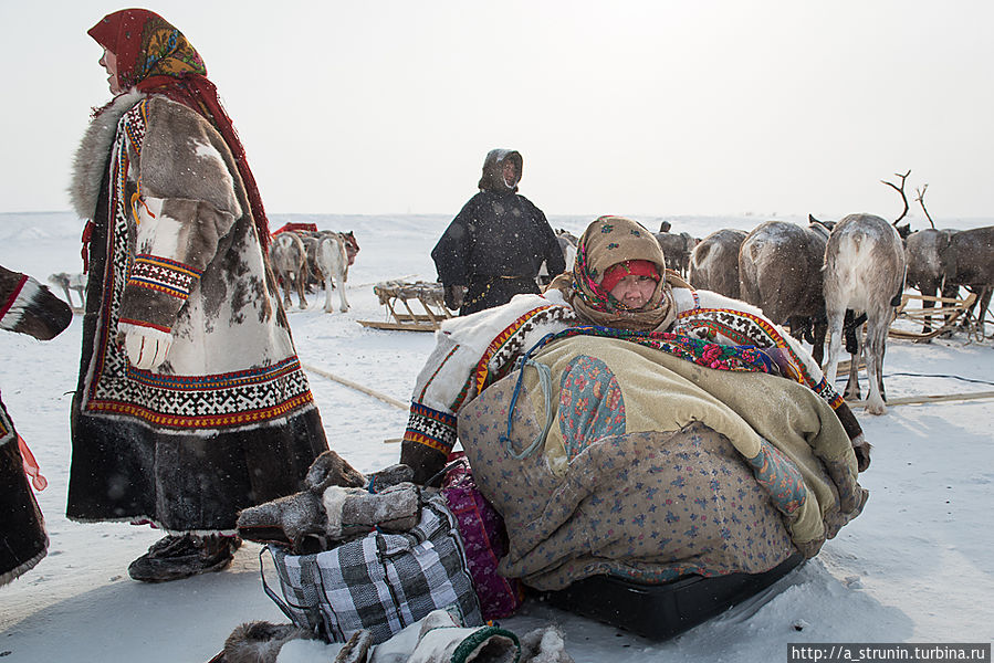 Кино и ненцы Салехард, Россия