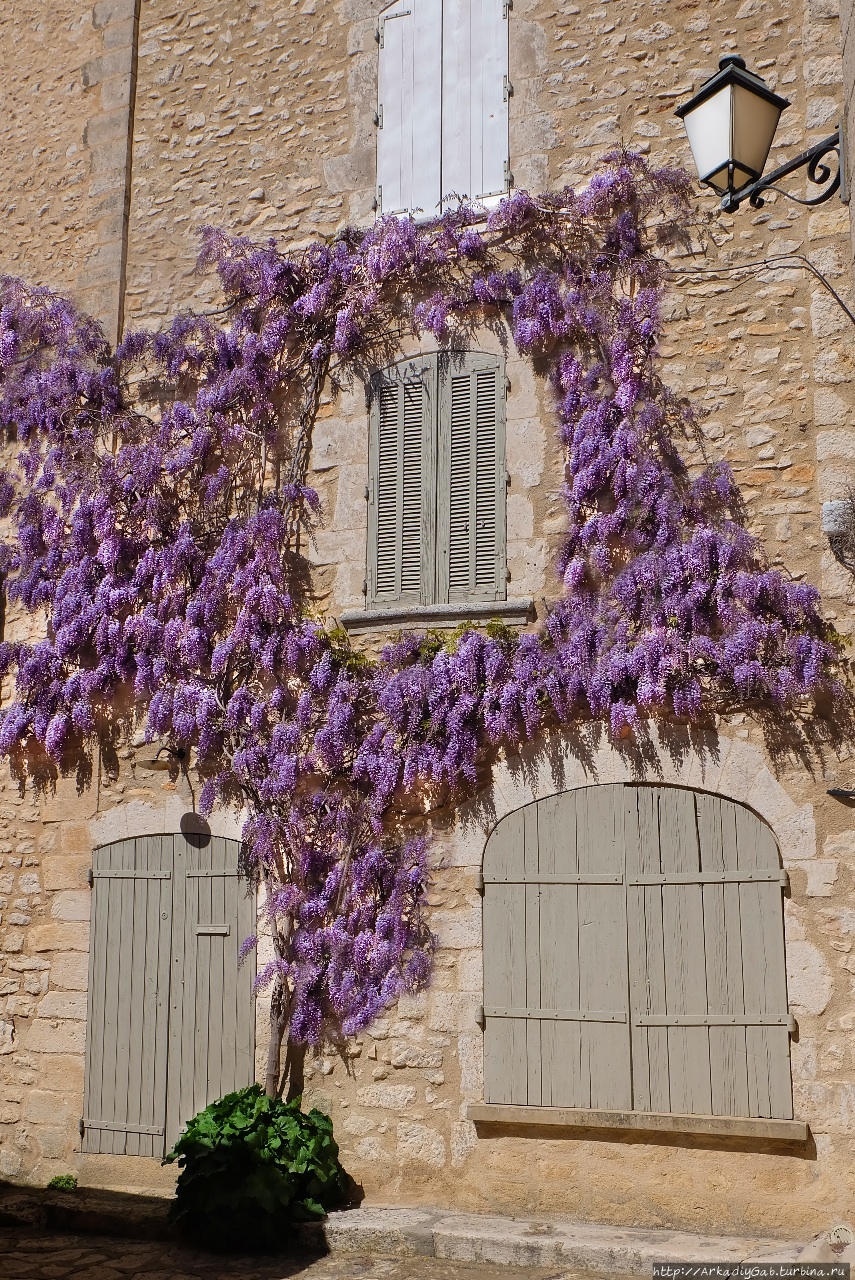 Зато Прованс под ее крыло