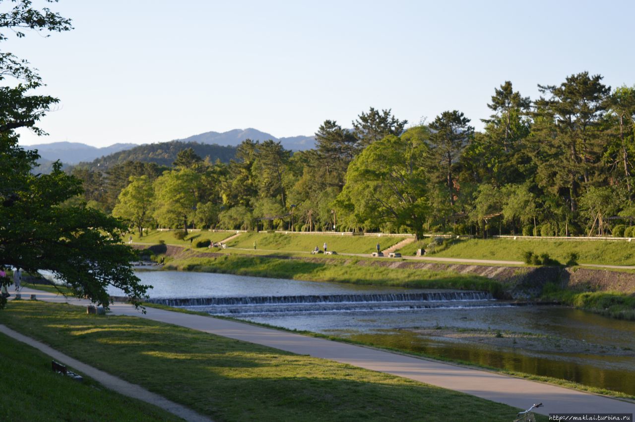 Ботанический сад Киото / Kyoto Botanical Garden