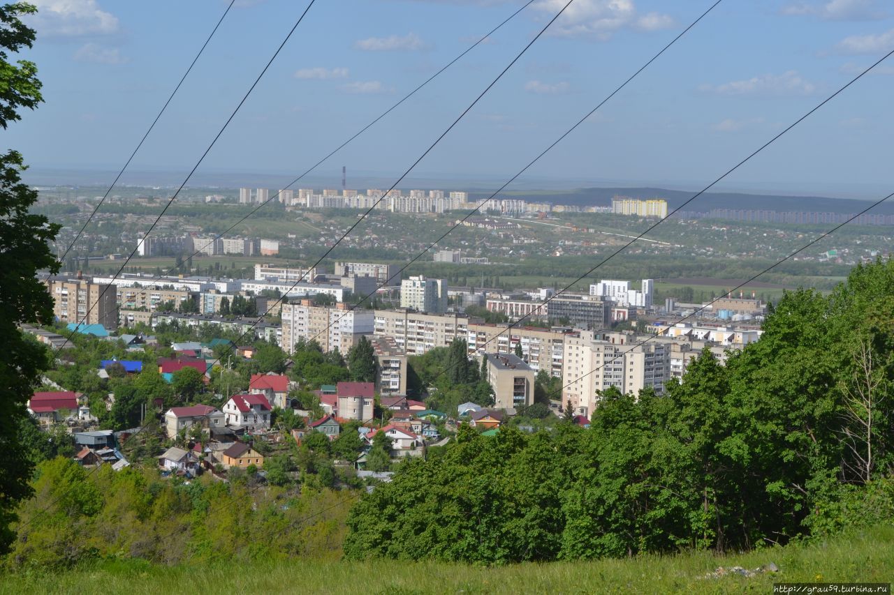 Кафе noor саратов кумысная поляна