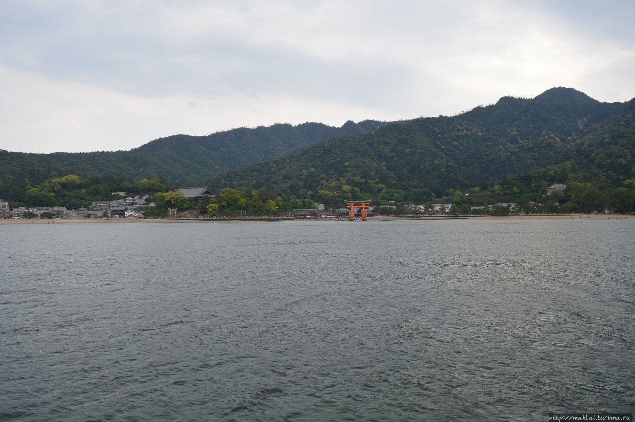 Парящие над водой тории Хацукайти, Япония