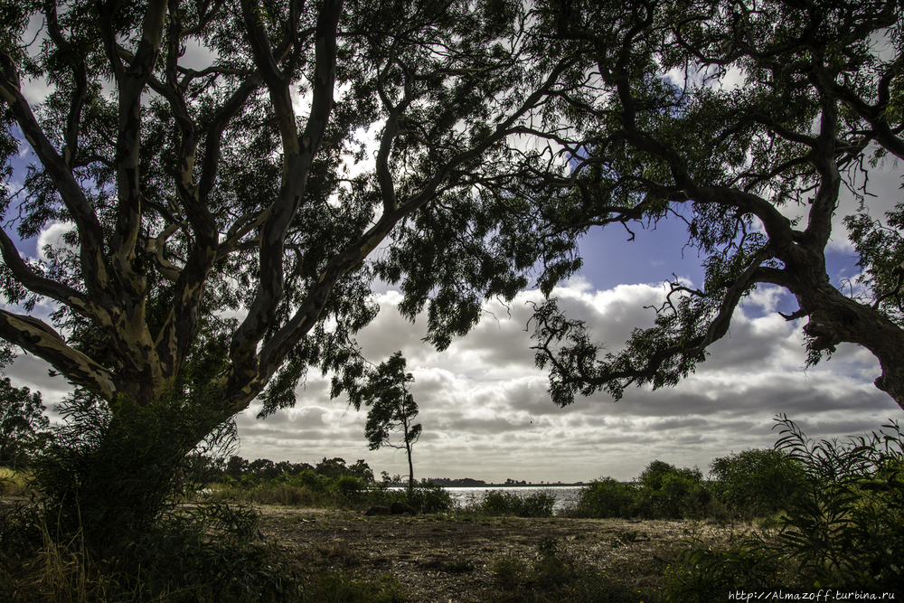 Еще один национальный парк Австралии — Грампианс Грампианс Национальный Парк, Австралия