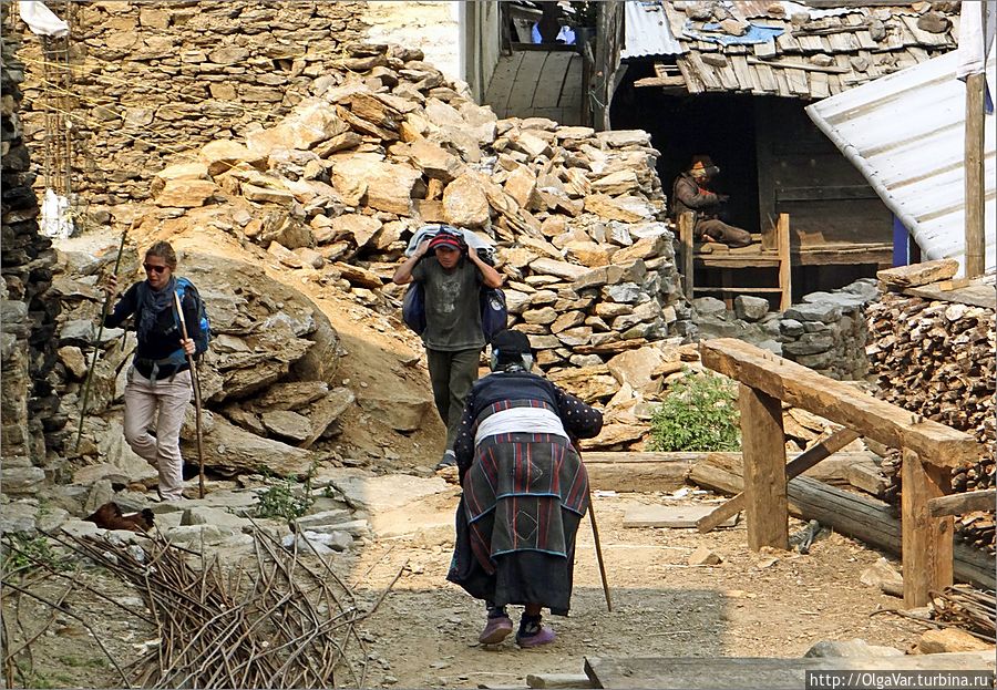 Постепенно деревню заполняли туристы Лангтанг, Непал
