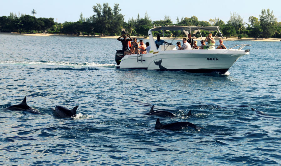 В погоне за счастьем Округ Блэк-Ривер, Маврикий