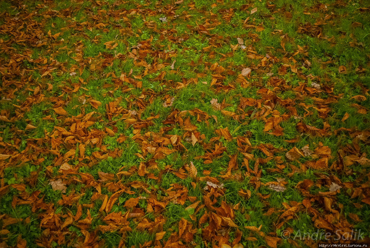 Осень в парках Агенскалнса Рига, Латвия