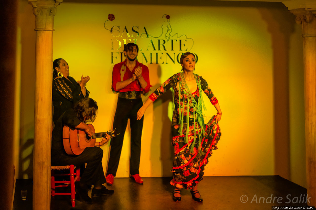 Casa del Arte Flamenco Гранада, Испания
