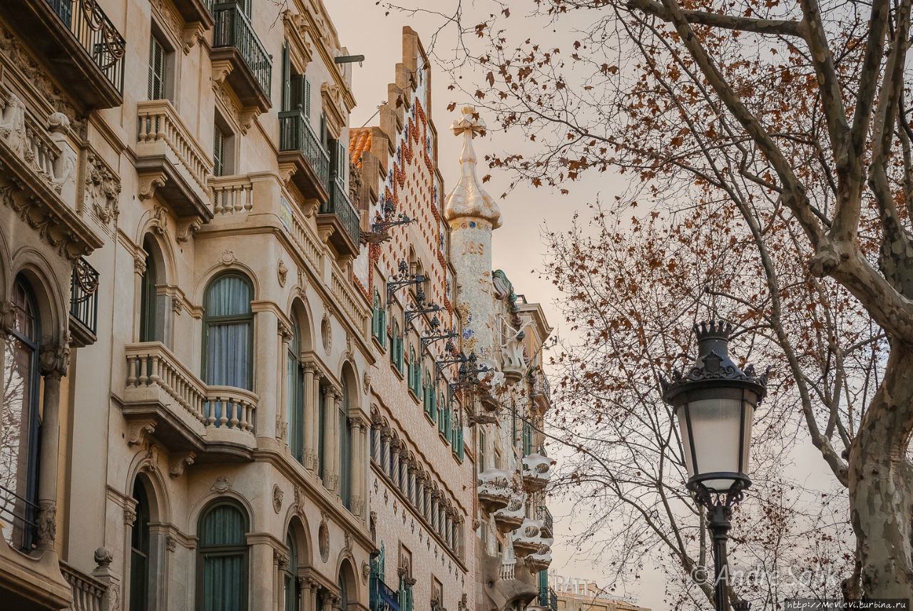 Февральская Барселона Барселона, Испания