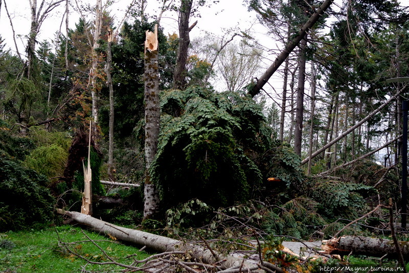 Удар! Еще удар.... Южно-Сахалинск, Россия