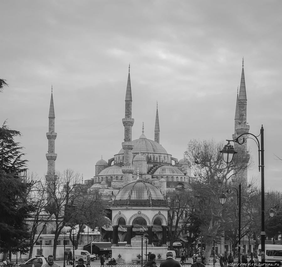 Дневные улицы Стамбула Стамбул, Турция