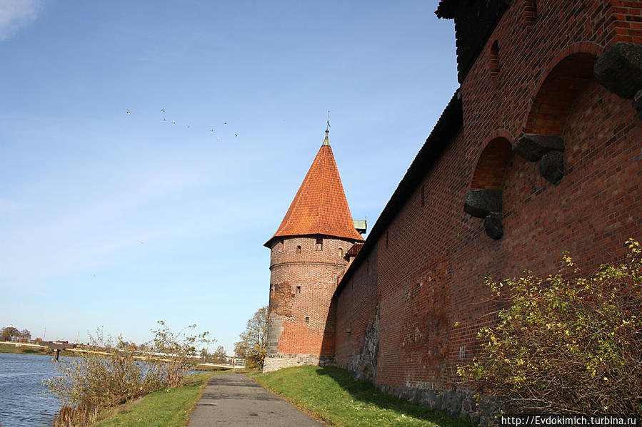Стена со стороны реки Ногат. Мальборк, Польша