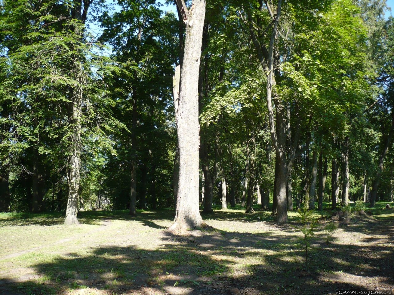 Гдов – город вдов Гдов, Россия Гдов – город вдов Гдов, Россия